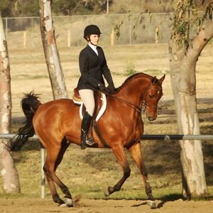 Meet your Posher, Paige